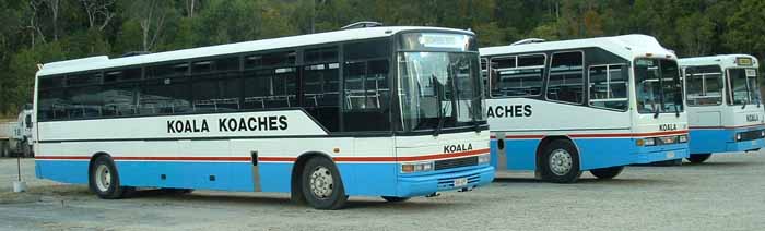 Koala Koaches Hino RG197K PMCA 160 18